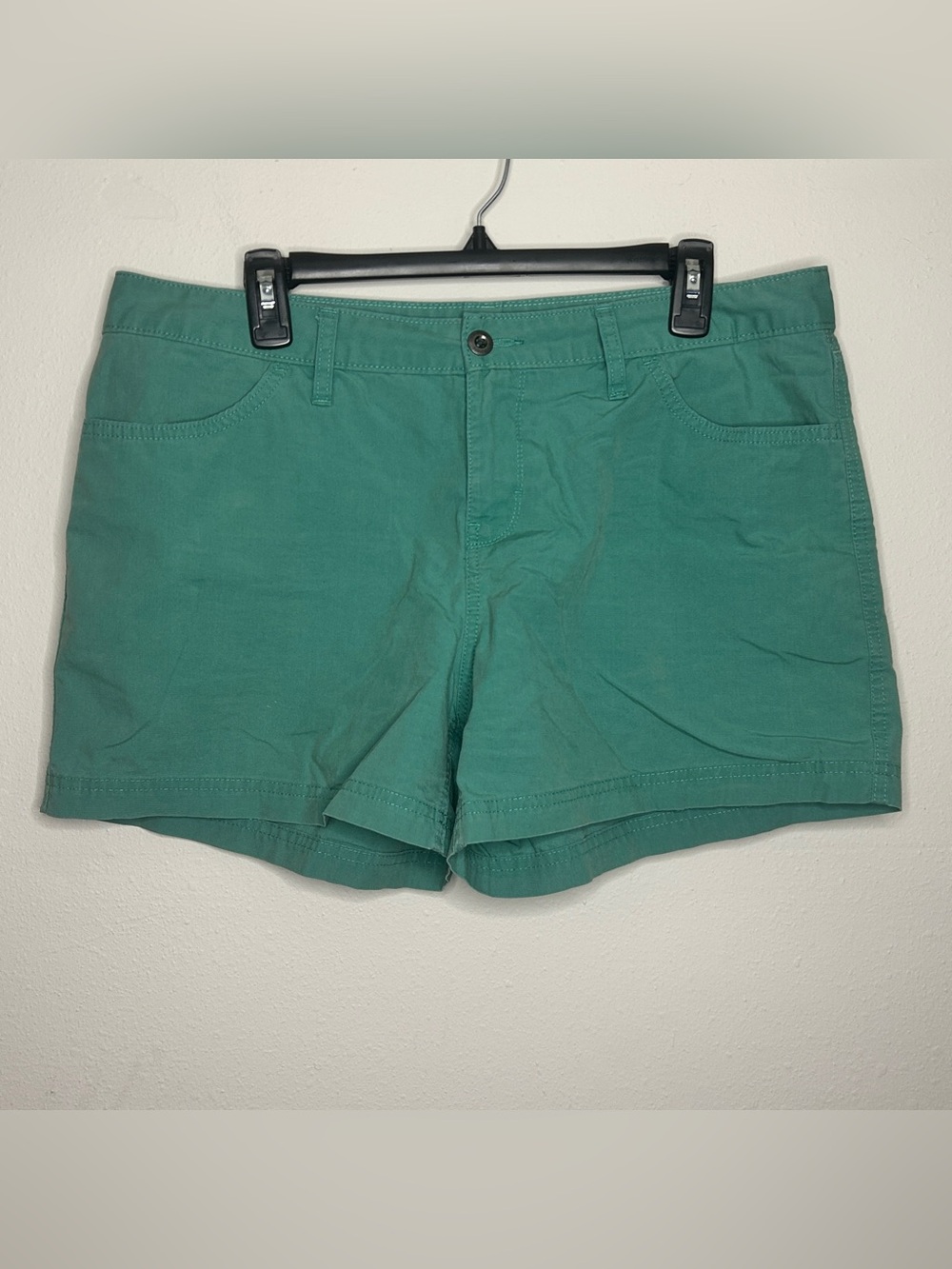 Patagonia Women's Size 14 Teal Cotton Shorts
